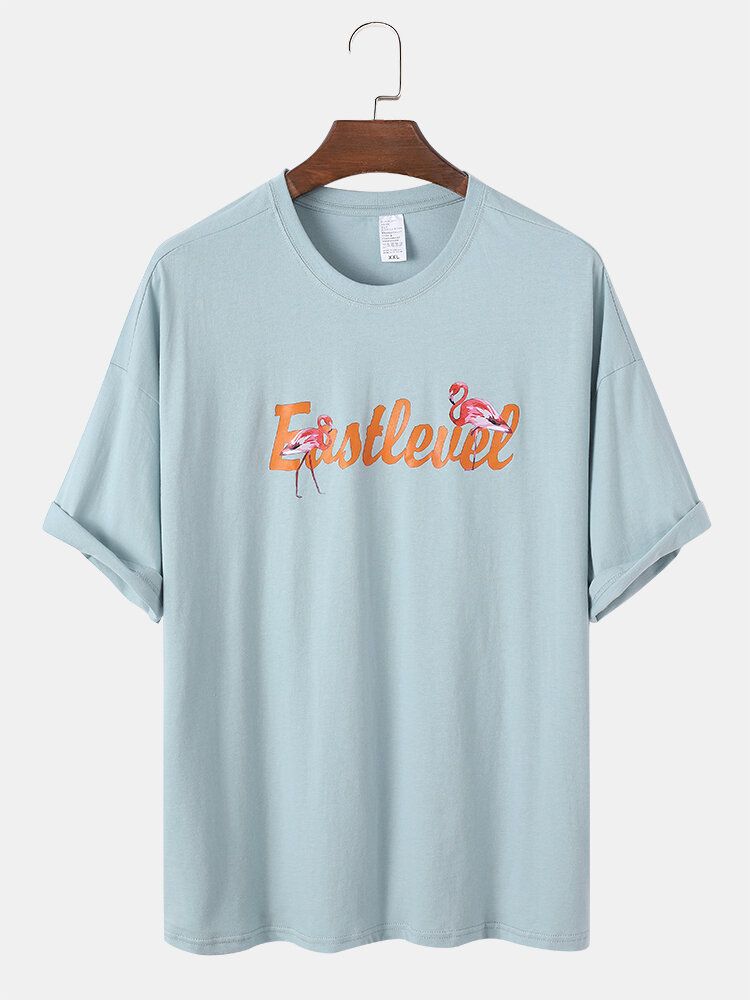 Flamingo Herrbokstavstryck Rund Halsad Lös Kortärmad Bomull T-shirts